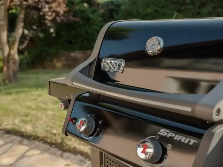 Weber Grill at Stay Eden