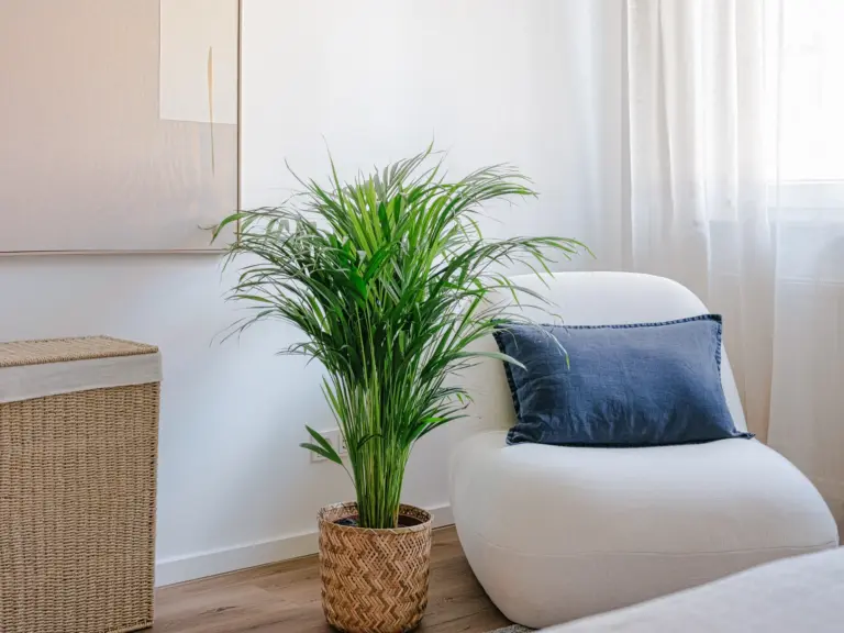 Lounge chair in the master bedroom of the Stay Eden MOONSTONE GREEN apartment in Ramstein, adding comfort and modern style to the room.