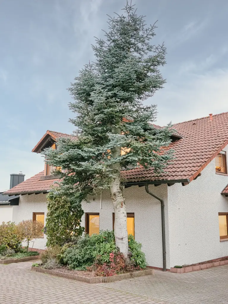 Front house view with modern exterior at Stay Eden TOPAZ BLUE near Ramstein Air Base.