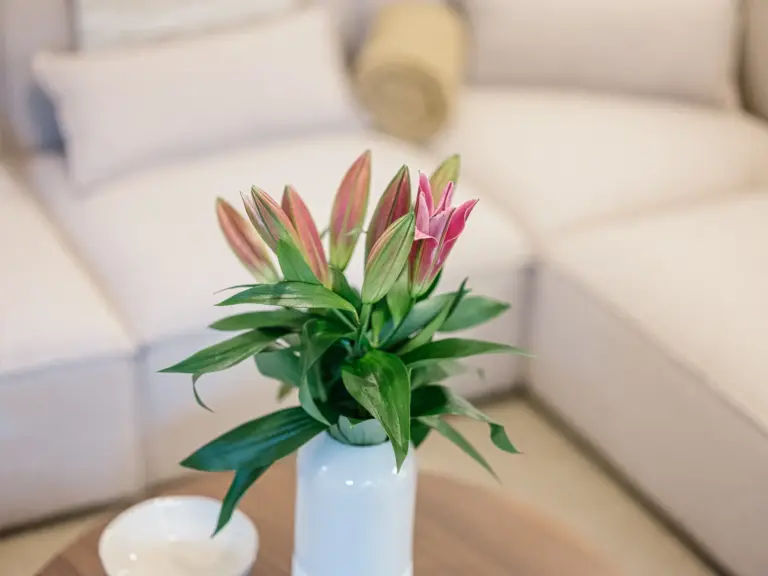 Living room with decorative plant and modern furnishings at Stay Eden TOPAZ GREEN near Ramstein Air Base.